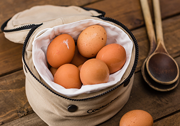 poultry-farming-gallery-5